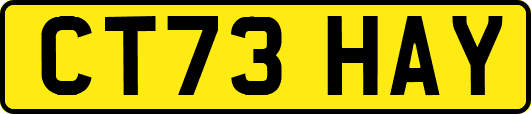 CT73HAY