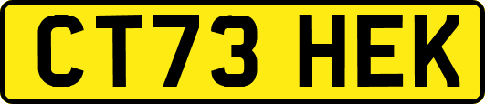 CT73HEK