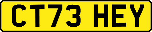 CT73HEY