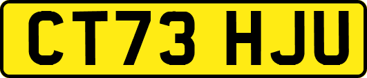 CT73HJU