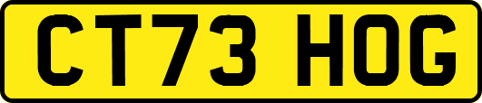CT73HOG