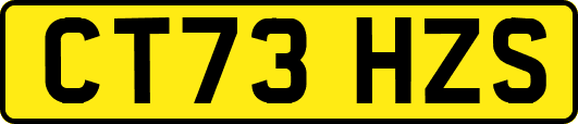 CT73HZS