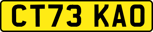 CT73KAO