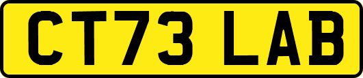 CT73LAB