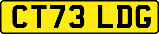 CT73LDG