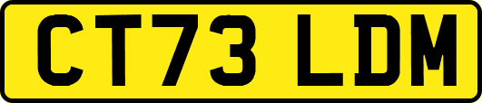 CT73LDM