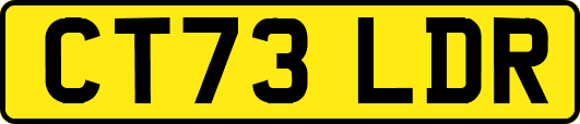CT73LDR