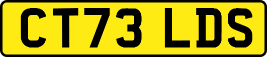 CT73LDS