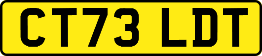 CT73LDT