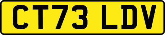 CT73LDV