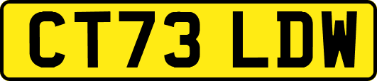 CT73LDW