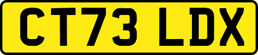 CT73LDX