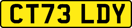 CT73LDY