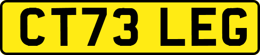 CT73LEG