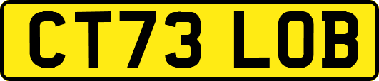 CT73LOB