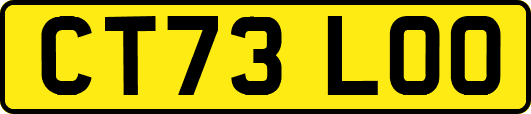 CT73LOO