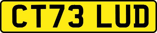 CT73LUD