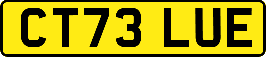 CT73LUE