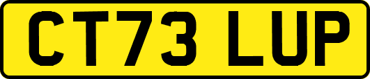 CT73LUP
