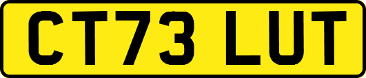 CT73LUT