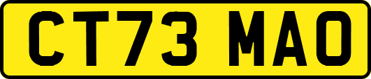 CT73MAO