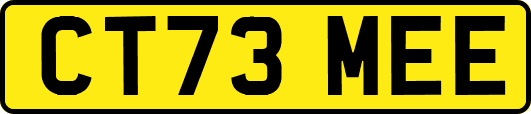 CT73MEE