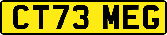 CT73MEG