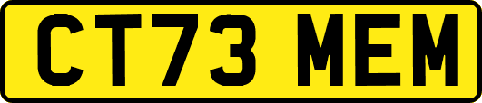 CT73MEM
