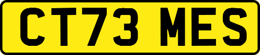 CT73MES