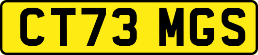 CT73MGS