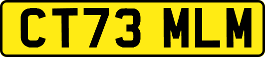 CT73MLM