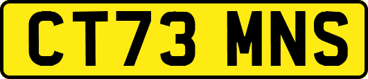 CT73MNS