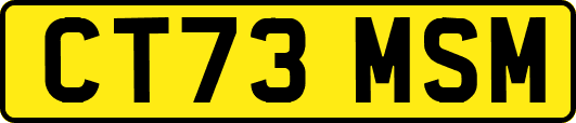 CT73MSM