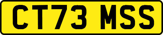 CT73MSS
