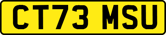 CT73MSU