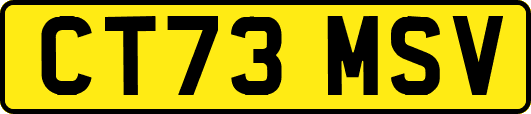 CT73MSV