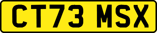 CT73MSX