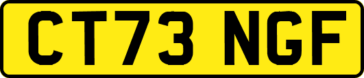 CT73NGF