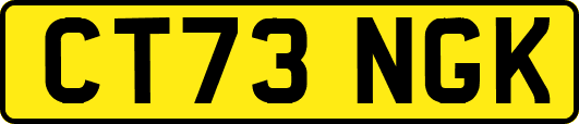 CT73NGK