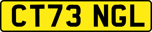 CT73NGL