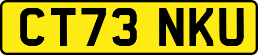 CT73NKU