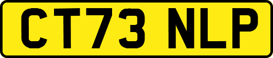 CT73NLP