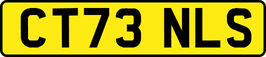 CT73NLS