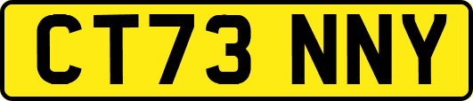 CT73NNY