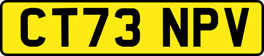 CT73NPV