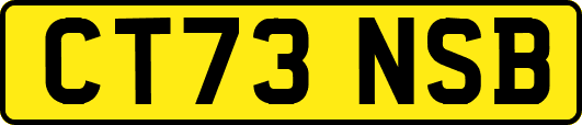 CT73NSB