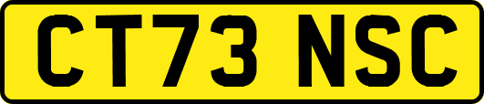 CT73NSC