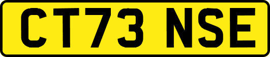 CT73NSE