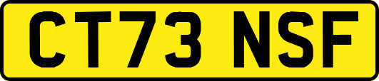 CT73NSF