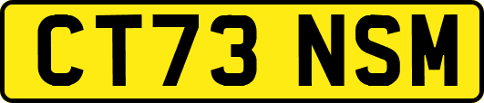 CT73NSM